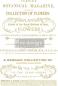 Preview: ReDesign Decor Transfers® - Flower Collector – 23,4" x 34" (59,4 x 86,3 cm) Gold-Transfer Preview: ReDesign Decor Transfers® - Flower Collector – 23,4" x 34" (59,4 x 86,3 cm) Gold-Transfer