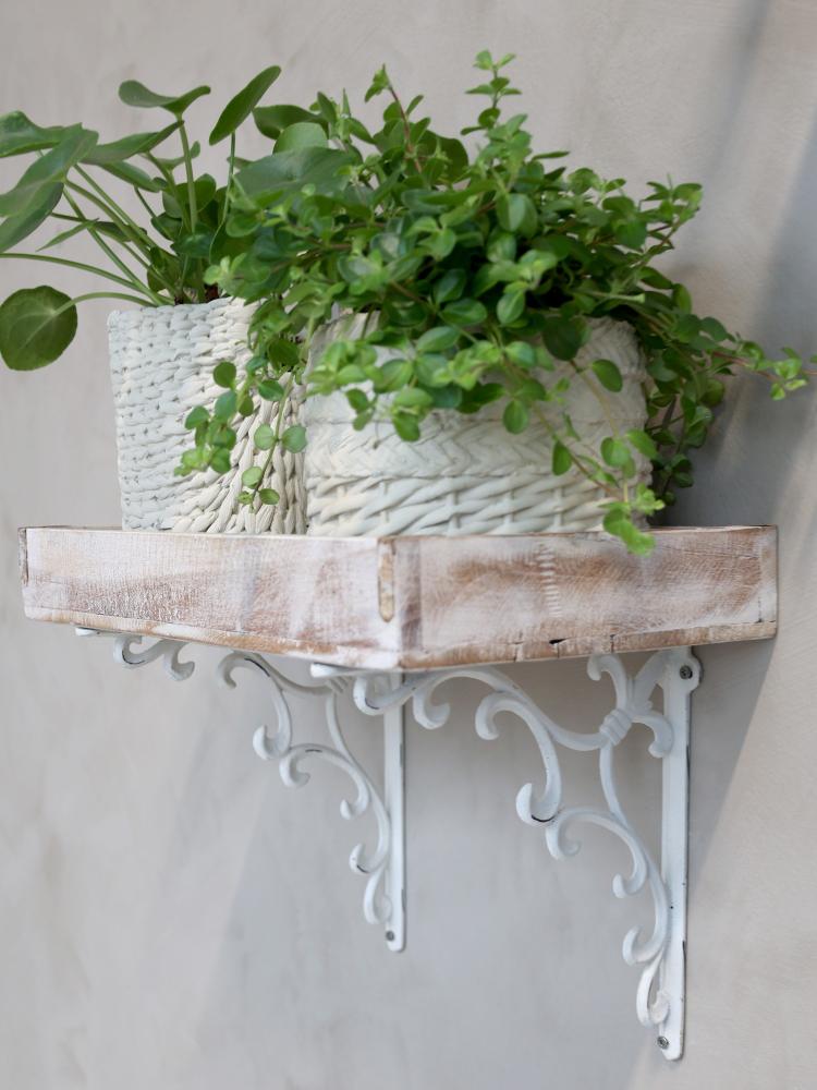 Planter Pot Creme Cement Planter Pot Creme Cement