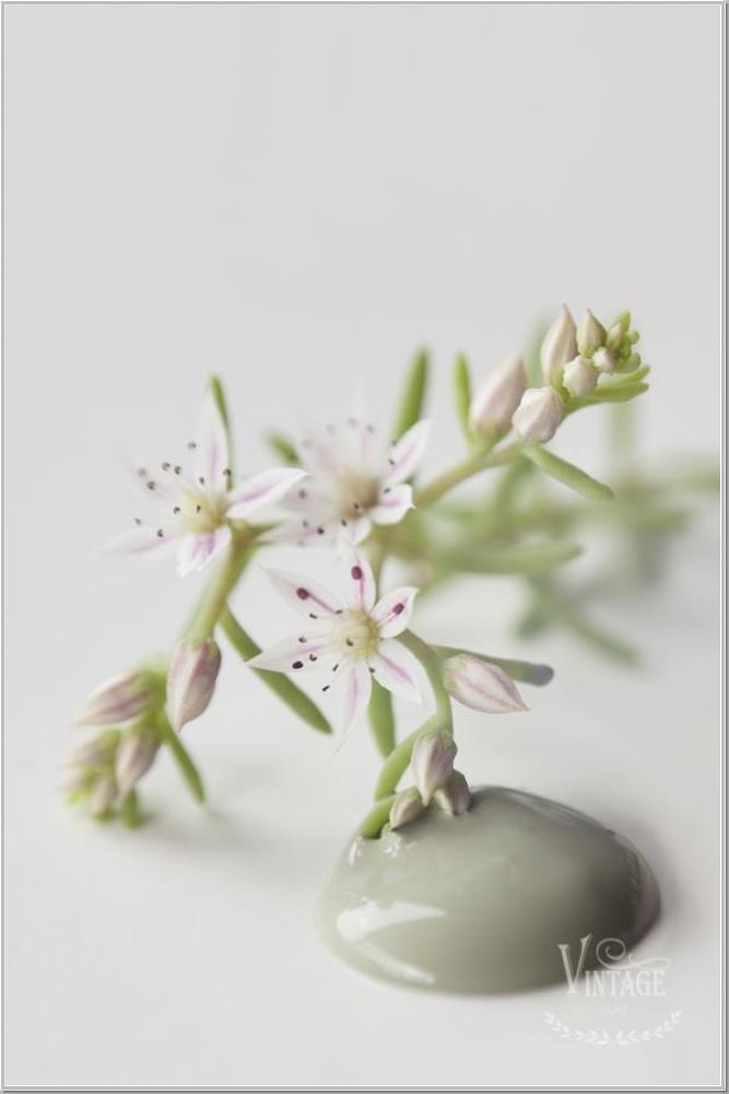 Preview: Vintage Paint Chalk Paint  Moss Green 700ml Preview: Vintage Paint Chalk Paint  Moss Green 700ml