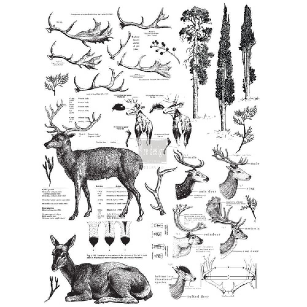 Transfer Delicious Deer Transfer Delicious Deer