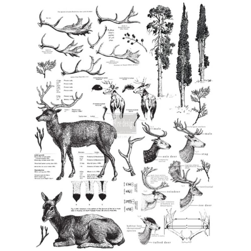 Transfer Delicious Deer Transfer Delicious Deer