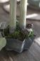 Preview: Candleholder with Speer H7cm