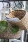 Preview: Wandkorb mit Henkel Wasserhyazinthe L36,5cm