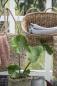 Preview: Wandkorb mit Henkel Wasserhyazinthe L36,5cm