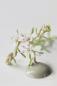 Preview: Vintage Paint Chalk Paint  Moss Green 700ml