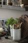 Preview: Oiled olive wood cooking spatula