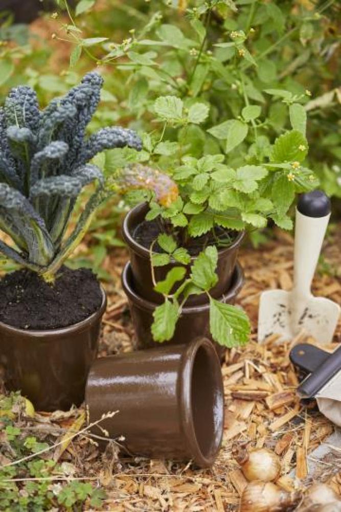enamelled planting trowel flower trowel planting trowel