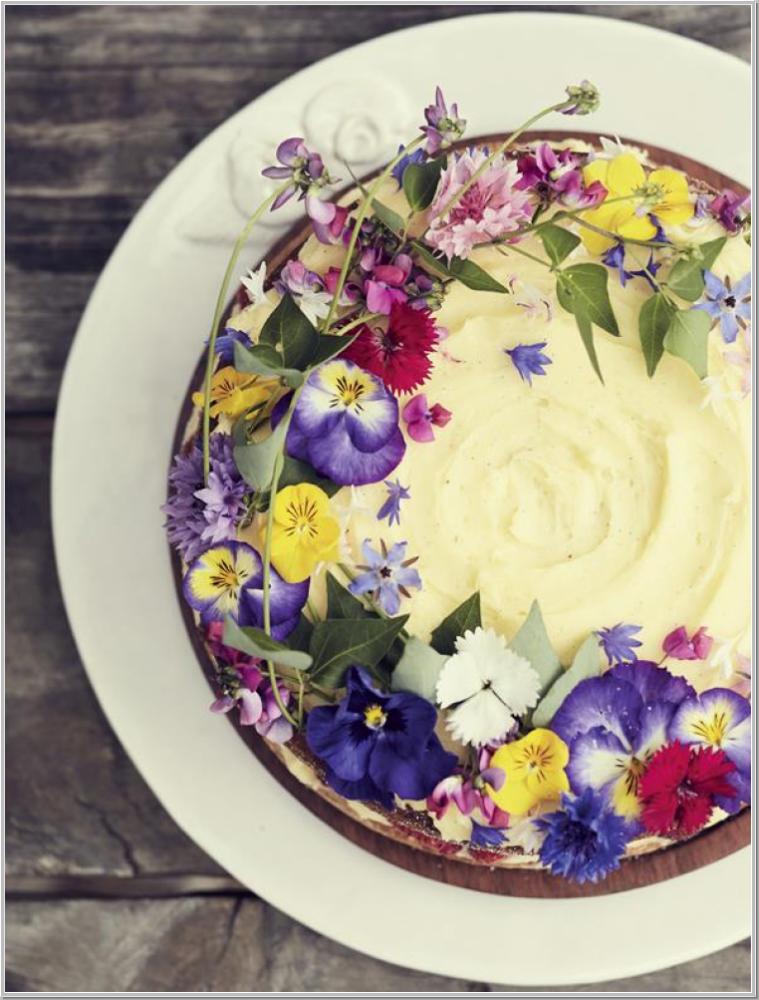 JDL Magazin Ausg. Mai 2021*Frühlingsgefühle