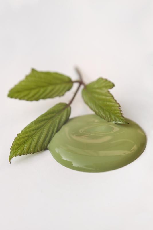 Chalk Paint Lavish Lime 700ml
