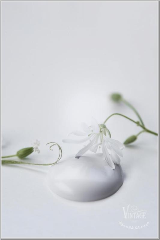 Chalk Paint Natural White 100ml
