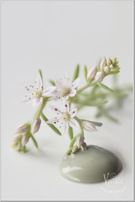 Vintage Paint Chalk Paint  Moss Green 700ml