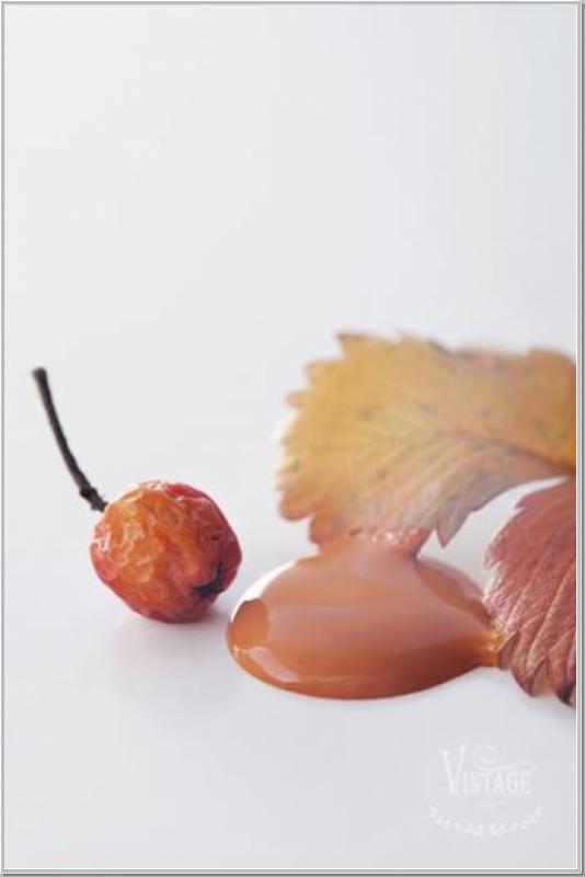 Chalk Paint Rusty Orange 100ml
